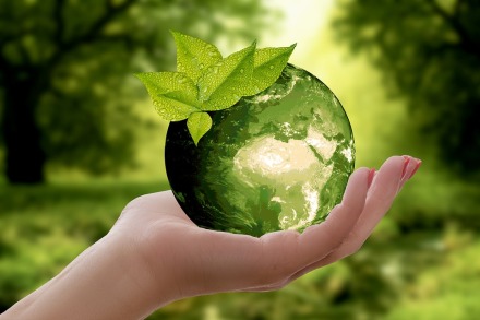 sustain globe forest